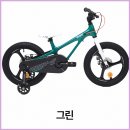 베랑길자전거 | 로얄베이비 문5 PRO 14 네발 자전거로 6개월간 아이 첫 자전거 완성한 후기