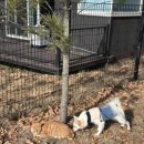 배때기네하우스 이미지