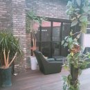 호텔 아하바 이미지