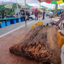 통리5일장 이미지