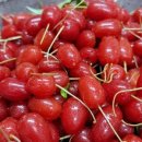 검산 농장 이미지