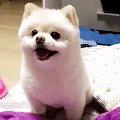 별나라모텔 이미지