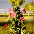 샛돌스테이 이미지