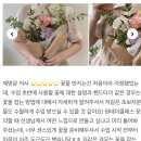 꽃 클래스 화훼장식기능사 이미지