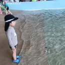 설악워터피아실외수영장 이미지