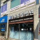 뉴욕동물병원 이미지