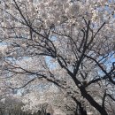 (유)스카이오일 | 4월 국립현충원, 포노부오노, 혜화데이트, 그랜드하얏트 텐카이, 서울숲 리브나
