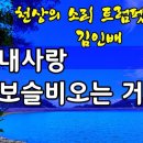 천상의 소리 김인배의 트럼펫 연주 이미지