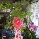 미림목장 이미지