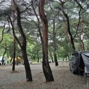 후평숲캠핑장 네이버블로그