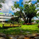 옥과전통시장 이미지