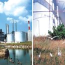 대산3 태양광발전소 이미지