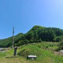 정족2리 | 청기면 정족리 도가마[都家村]의 '가선대부(嘉善大夫) 이조참판(吏曹參判) 황덕구(黃德九) 선생의 묘비...