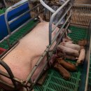 삼원농장 1 이미지