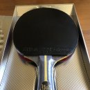 301차이나 이미지