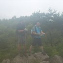 화강목장 이미지