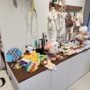 미앤멍 강아지분양 제주본점 이미지