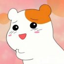 쌩판 네이버블로그
