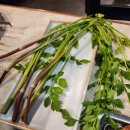 하양통 2 이미지