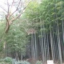 대나무골농장 이미지