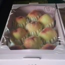 충주농협 노은지점 산지유통센터 | 농협몰 산지스토리 촬영(2019년 7월 10일)