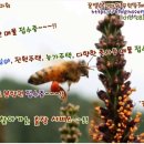 꿀벌아 고마워 공인중개사사무소 이미지