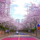 하단동175 이미지