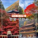 성남시내버스(주) 택시사업부 | 단양 구인사 입장료, 단풍 시기, 대중교통