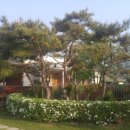 해찬솔가 이미지