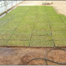 호경농장 이미지