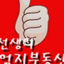 엄지공인중개사사무소 이미지