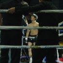 성실태권도 체육관 이미지