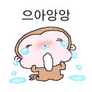 블랑제리 유기농 밀가루 네이버블로그