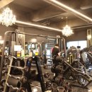 APEX GYM | <대전 유천동 헬스장> 에이팩스짐 다짐어플로 할인 받아 최저가로 다녀요!