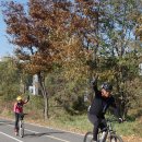 복남 농장 이미지