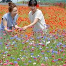 응천공원 이미지