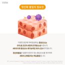 비타민365