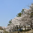 대공원치안센터 이미지