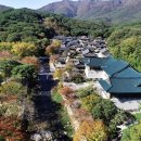[한국 문화] 절기로 만나는 한국의 이해 - 가을, 겨울 | 통도사 메밀밭 풍경, 정보 | 가을의 숨결을 담은 사찰 나들이