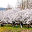 유림카서비스 이미지