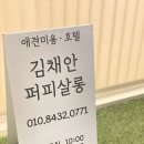 퍼피샬롱(PUPPY SALON) | 광주 애견미용샵 추천 김채안퍼피살롱 잘함!!!!