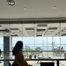 산조 아쿠아펠리스 이미지