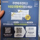 W. 신혼 침대투어(유에스베드/슬립시티/베스트슬립)