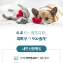 펫힐링센터 이미지