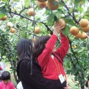 상록어린이집 이미지