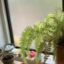 쓸모무쓸모
