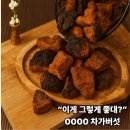 바이칼허브 | “이게 그렇게 좋대?” 동결건조 차가버섯이 갑자기 뜬 이유 5가지