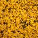 _방배천로중앙1 이미지