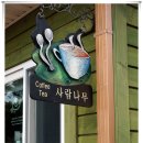 제주나무카페