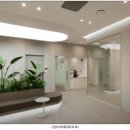 신사역4번출구 | [임이석테마피부과] 위치·운영시간·대표시술 총정리 (신사역 4번 출구 근처)